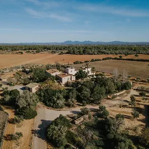 *** Hotel Es Llobets - Adults Only Spagna