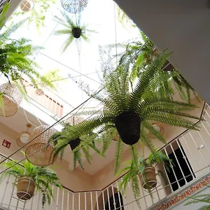  Affittacamere Cordoba Spagna